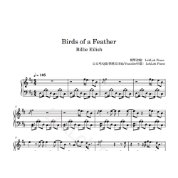 BIRDS OF A FEATHER 物以类聚 碧梨 钢琴谱 五线谱