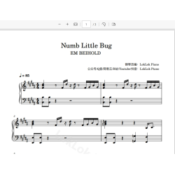 Numb Little Bug - Em Beihold 钢琴谱 五线谱